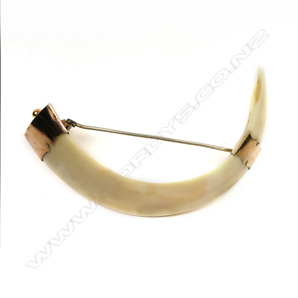 William Good (Gisborne) 9ct gold tusk brooch, Image 1++